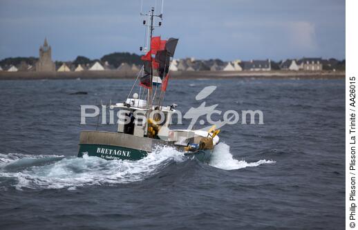 Back to fishing in St. Guénolé. - © Philip Plisson / Plisson La Trinité / AA26015 - Photo Galleries - From Brest to Loctudy