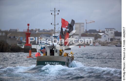 Retour de pêche à Saint-Guénolé. - © Philip Plisson / Plisson La Trinité / AA26017 - Nos reportages photos - Finistère
