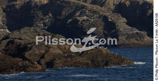 On the southern coast of Belle ile island - © Philip Plisson / Plisson La Trinité / AA26168 - Photo Galleries - Island [56]