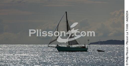 Voilier devant Belle-ile. - © Philip Plisson / Plisson La Trinité / AA26204 - Nos reportages photos - Belle-Ile