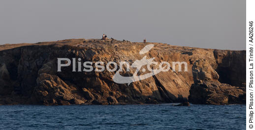 The Wild Coast of Quiberon. - © Philip Plisson / Plisson La Trinité / AA26246 - Photo Galleries - Wild coast