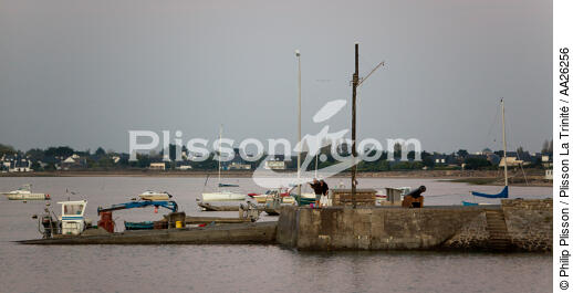 Damgan - © Philip Plisson / Plisson La Trinité / AA26256 - Photo Galleries - Quay