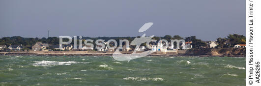 Damgan - © Philip Plisson / Plisson La Trinité / AA26265 - Photo Galleries - Storm at sea