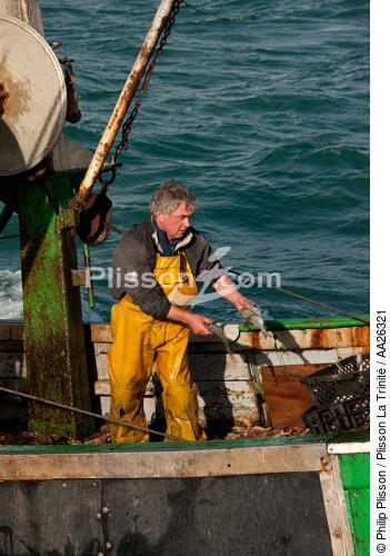 Trawler boat from Trinité - © Philip Plisson / Plisson La Trinité / AA26321 - Photo Galleries - Fisherman
