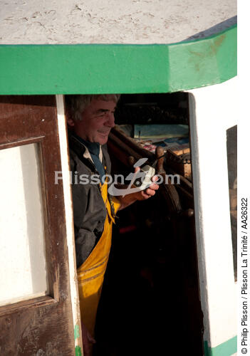 Trawler boat from Trinité - © Philip Plisson / Plisson La Trinité / AA26322 - Photo Galleries - Fisherman