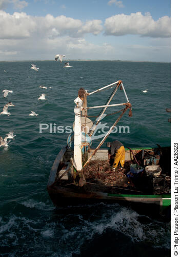 Chalutier Trinitain - © Philip Plisson / Plisson La Trinité / AA26323 - Nos reportages photos - Pêcheur