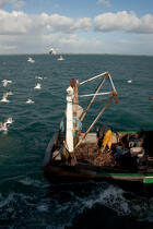 Chalutier Trinitain © Philip Plisson / Plisson La Trinité / AA26323 - Nos reportages photos - Bateau de pêche