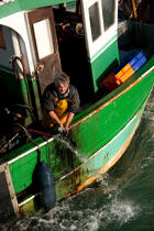 Trawler boat from Trinité © Philip Plisson / Plisson La Trinité / AA26324 - Photo Galleries - Fishing vessel