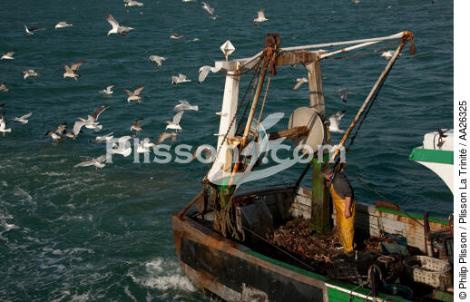 Chalutier Trinitain - © Philip Plisson / Plisson La Trinité / AA26325 - Nos reportages photos - Bateau de pêche