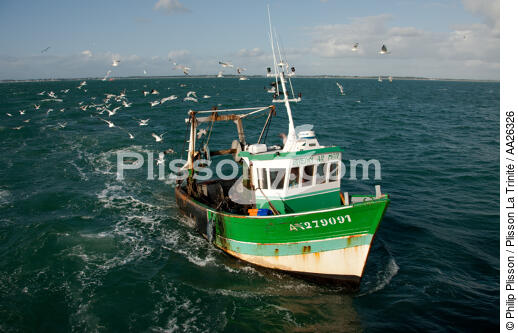 Trawler boat from Trinité - © Philip Plisson / Plisson La Trinité / AA26326 - Photo Galleries - Fisherman