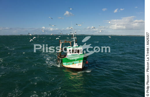 Trawler boat from Trinité - © Philip Plisson / Plisson La Trinité / AA26327 - Photo Galleries - Morbihan