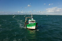 Trawler boat from Trinité © Philip Plisson / Plisson La Trinité / AA26327 - Photo Galleries - Morbihan