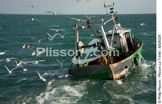 Trawler boat from Trinité - © Philip Plisson / Plisson La Trinité / AA26329 - Photo Galleries - Fisherman