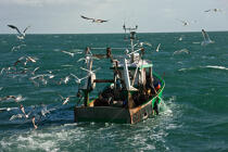 Chalutier Trinitain © Philip Plisson / Plisson La Trinité / AA26330 - Nos reportages photos - Bateau de pêche