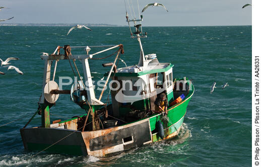 Chalutier Trinitain - © Philip Plisson / Plisson La Trinité / AA26331 - Nos reportages photos - Bateau de pêche