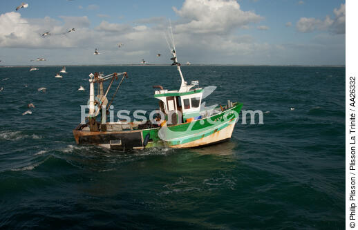 Chalutier Trinitain - © Philip Plisson / Plisson La Trinité / AA26332 - Nos reportages photos - Pêcheur