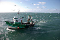 Trawler boat from Trinité © Philip Plisson / Plisson La Trinité / AA26333 - Photo Galleries - Fisherman