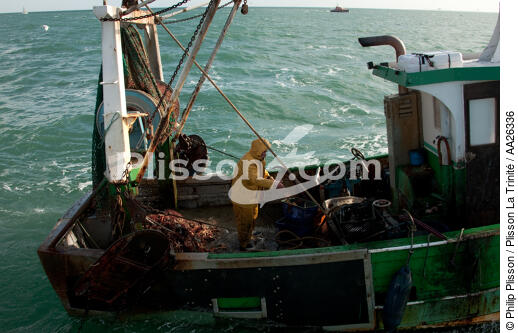 Chalutier Trinitain - © Philip Plisson / Plisson La Trinité / AA26336 - Nos reportages photos - Pêche côtière