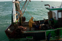 Chalutier Trinitain © Philip Plisson / Plisson La Trinité / AA26336 - Nos reportages photos - Type de pêche