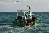 Trawler boat from la Trinité sur mer © Philip Plisson / Plisson La Trinité / AA26337 - Photo Galleries - Types of fishing