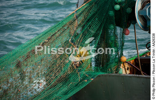 Chalutier Trinitain - © Philip Plisson / Plisson La Trinité / AA26338 - Nos reportages photos - Pêche côtière