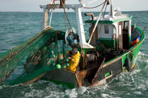 Chalutier Trinitain © Philip Plisson / Plisson La Trinité / AA26339 - Nos reportages photos - Type de pêche