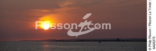 Coucher de soleil sur Sarzeau. - © Philip Plisson / Plisson La Trinité / AA26375 - Nos reportages photos - Astre