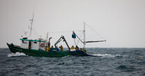 Pêche a la sardine pour la Quiberonaise © Philip Plisson / Plisson La Trinité / AA26399 - Nos reportages photos - Bateau de pêche