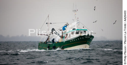 Pêche a la sardine pour la Quiberonaise - © Philip Plisson / Plisson La Trinité / AA26400 - Nos reportages photos - Type de pêche