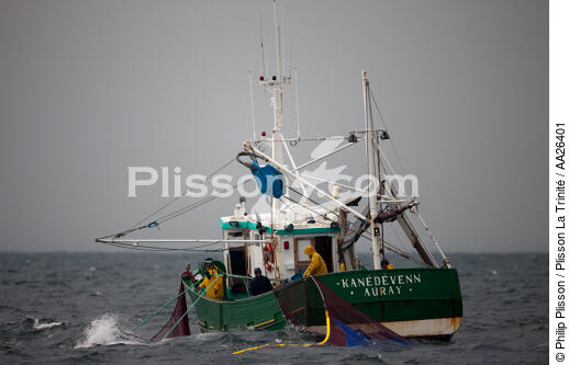 Pêche a la sardine pour la Quiberonaise - © Philip Plisson / Plisson La Trinité / AA26401 - Nos reportages photos - Pêche à la sardine