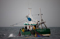 Pêche a la sardine pour la Quiberonaise © Philip Plisson / Plisson La Trinité / AA26401 - Nos reportages photos - Bateau de pêche