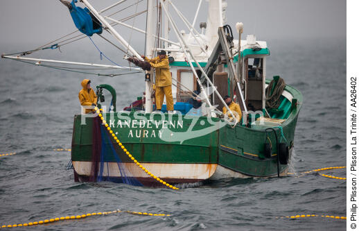 Sardine fishing boat . - © Philip Plisson / Plisson La Trinité / AA26402 - Photo Galleries - Fisherman