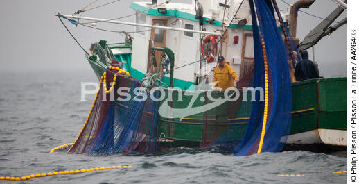 Pêche a la sardine pour la Quiberonaise - © Philip Plisson / Plisson La Trinité / AA26403 - Nos reportages photos - Pêcheur