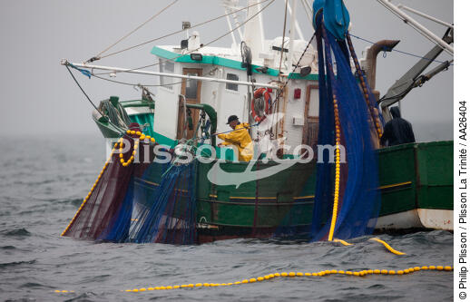 Pêche a la sardine pour la Quiberonaise - © Philip Plisson / Plisson La Trinité / AA26404 - Nos reportages photos - Type de pêche