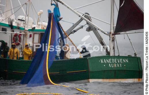 Pêche a la sardine pour la Quiberonaise - © Philip Plisson / Plisson La Trinité / AA26406 - Nos reportages photos - Pêche à la senne