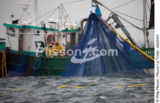 Pêche a la sardine pour la Quiberonaise - © Philip Plisson / Plisson La Trinité / AA26407 - Nos reportages photos - Pêche à la sardine