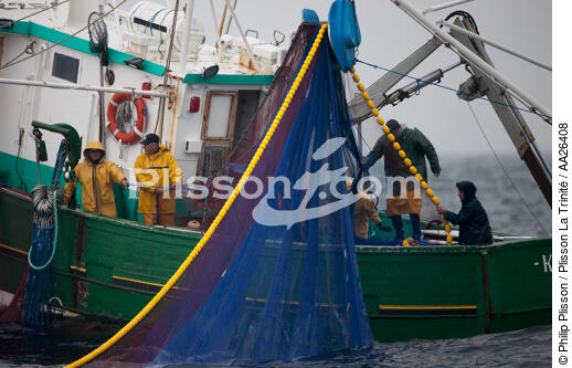 Sardine fishing boat . - © Philip Plisson / Pêcheur d’Images / AA26408 - Photo Galleries - Sardine Fishing