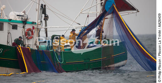 Sardine fishing boat . - © Philip Plisson / Plisson La Trinité / AA26409 - Photo Galleries - Fishing with a seine 