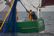 Sardine fishing boat . © Philip Plisson / Plisson La Trinité / AA26410 - Photo Galleries - Fishing vessel