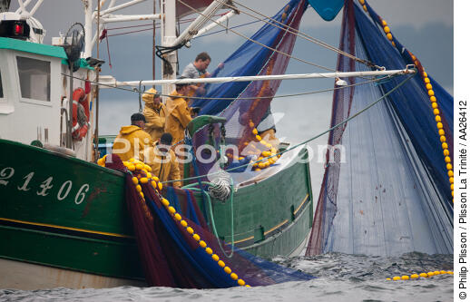 Pêche a la sardine pour la Quiberonaise - © Philip Plisson / Plisson La Trinité / AA26412 - Nos reportages photos - Bateau de pêche