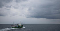 Sardine fishing boat . © Philip Plisson / Plisson La Trinité / AA26413 - Photo Galleries - Fishing vessel