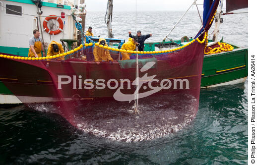 Pêche a la sardine pour la Quiberonaise - © Philip Plisson / Plisson La Trinité / AA26414 - Nos reportages photos - Pêcheur