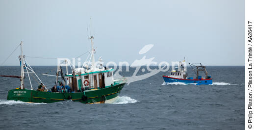 Pêche a la sardine pour la Quiberonaise - © Philip Plisson / Plisson La Trinité / AA26417 - Nos reportages photos - Pêche à la sardine