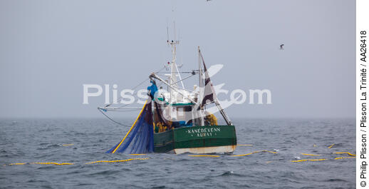 Pêche a la sardine pour la Quiberonaise - © Philip Plisson / Plisson La Trinité / AA26418 - Nos reportages photos - Bateau de pêche