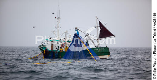 Pêche a la sardine pour la Quiberonaise - © Philip Plisson / Plisson La Trinité / AA26419 - Nos reportages photos - Pêche à la senne