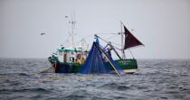 Pêche a la sardine pour la Quiberonaise © Philip Plisson / Plisson La Trinité / AA26419 - Nos reportages photos - Bateau de pêche