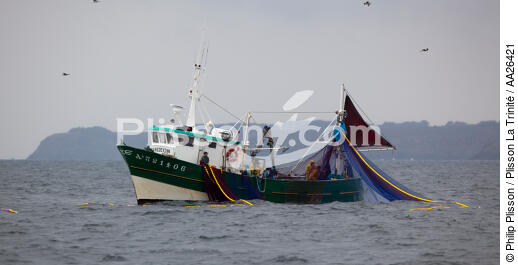 Sardine fishing boat . - © Philip Plisson / Plisson La Trinité / AA26421 - Photo Galleries - Fishing with a seine 