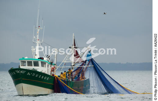 Pêche a la sardine pour la Quiberonaise - © Philip Plisson / Plisson La Trinité / AA26422 - Nos reportages photos - Bateau de pêche