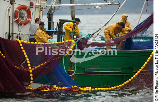 Sardine fishing boat . - © Philip Plisson / Plisson La Trinité / AA26424 - Photo Galleries - Fishing with a seine 