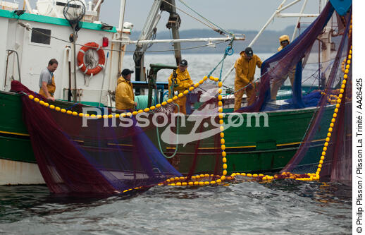 Pêche a la sardine pour la Quiberonaise - © Philip Plisson / Plisson La Trinité / AA26425 - Nos reportages photos - Bateau de pêche